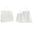 25x15x24+6 25x15x24+6 CM | SAFARI PAPER BAG WIDE BACKGROUND | FLEXO PRINTING IN UN COLORESU ENTRAMBI I LATI | CARTA KRAFT BIA...