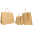 35x22x32+6 35x22x32+6 CM | SAFARI PAPER BAG WIDE BACKGROUND | FLEXO PRINTING IN UN COLORE SU ENTRAMBI I LATI | KRAFT PAPER CO...