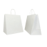 Shopping bag personalizzata Safari 32x20x33 CM | BORSA DI CARTA SAFARI WIDE BACKGROUND | STAMPA FLEXO IN UN COLORESU ENTRAMBI...