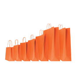 22x10x29 22x10x29 CM | PAPER BAG SAFARI | STAMPA FLEXO A UN COLORE SU AREE PREFISSATE SU ENTRAMBI I LATI