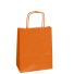 22x10x29 22x10x29 CM | PAPER BAG SAFARI | STAMPA FLEXO A UN COLORE SU AREE PREFISSATE SU ENTRAMBI I LATI