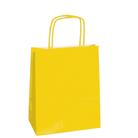 18X07X24 18X07X24 CM | PAPER BAG SAFARI | STAMPA FLEXO A UN COLORE SU AREE PREFISSATE SU ENTRAMBI I LATI