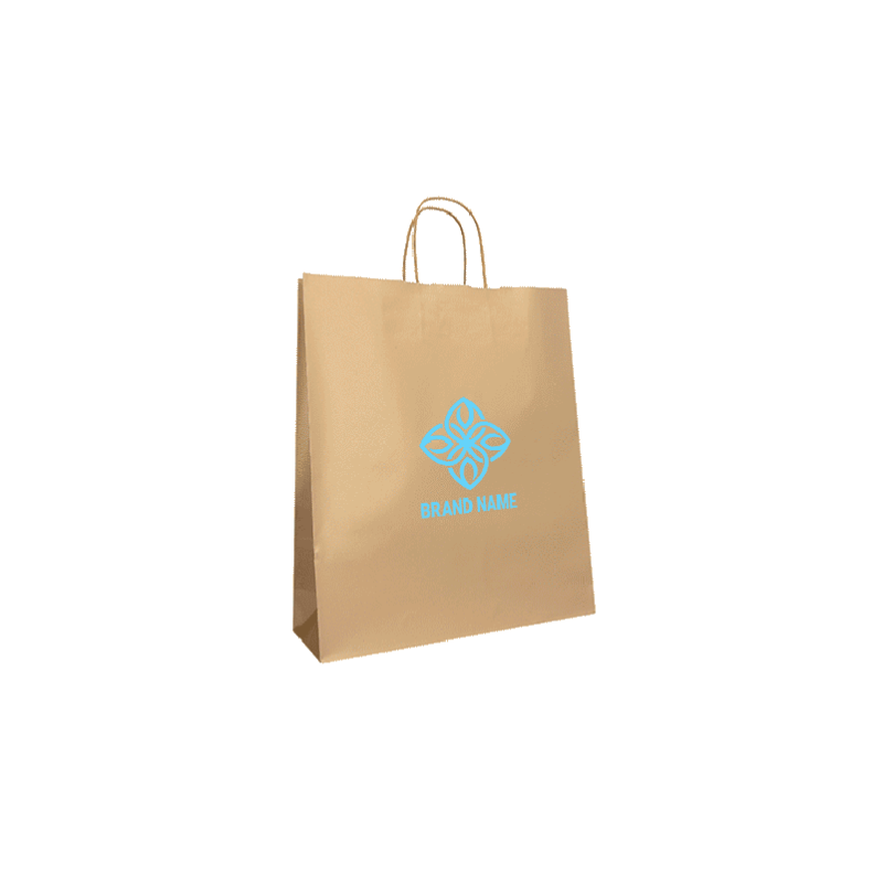 22x10x29 22x10x29 CM | PAPER BAG SAFARI | STAMPA FLEXO A UN COLORE SU AREE PREFISSATE SU ENTRAMBI I LATI