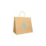 25x15x24+6 25x15x24+6 CM | SAFARI PAPER BAG WIDE BACKGROUND | FLEXO PRINTING IN UN COLORESU ENTRAMBI I LATI | CARTA KRAFT BIA...