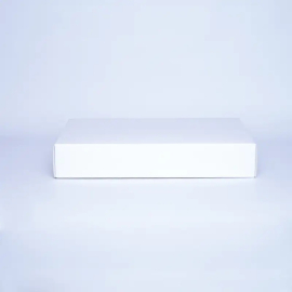 52X40X9 CM | CAMPANA