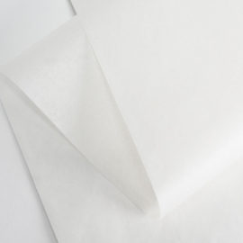 Carta velina stampata 100x75 CM | CARTA VELINA STAMPATA | FLEXO 1 COLORE | 1500 FOGLIE | 6 SETTIMANE